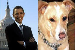 BUCHANANFPC PHOTO (RENEGADE AND THE PRESIDENT OBAMA)